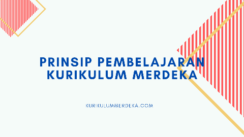 Inilah 5 Prinsip Pembelajaran Kurikulum Merdeka 2022